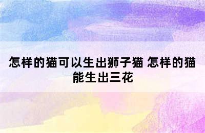 怎样的猫可以生出狮子猫 怎样的猫能生出三花